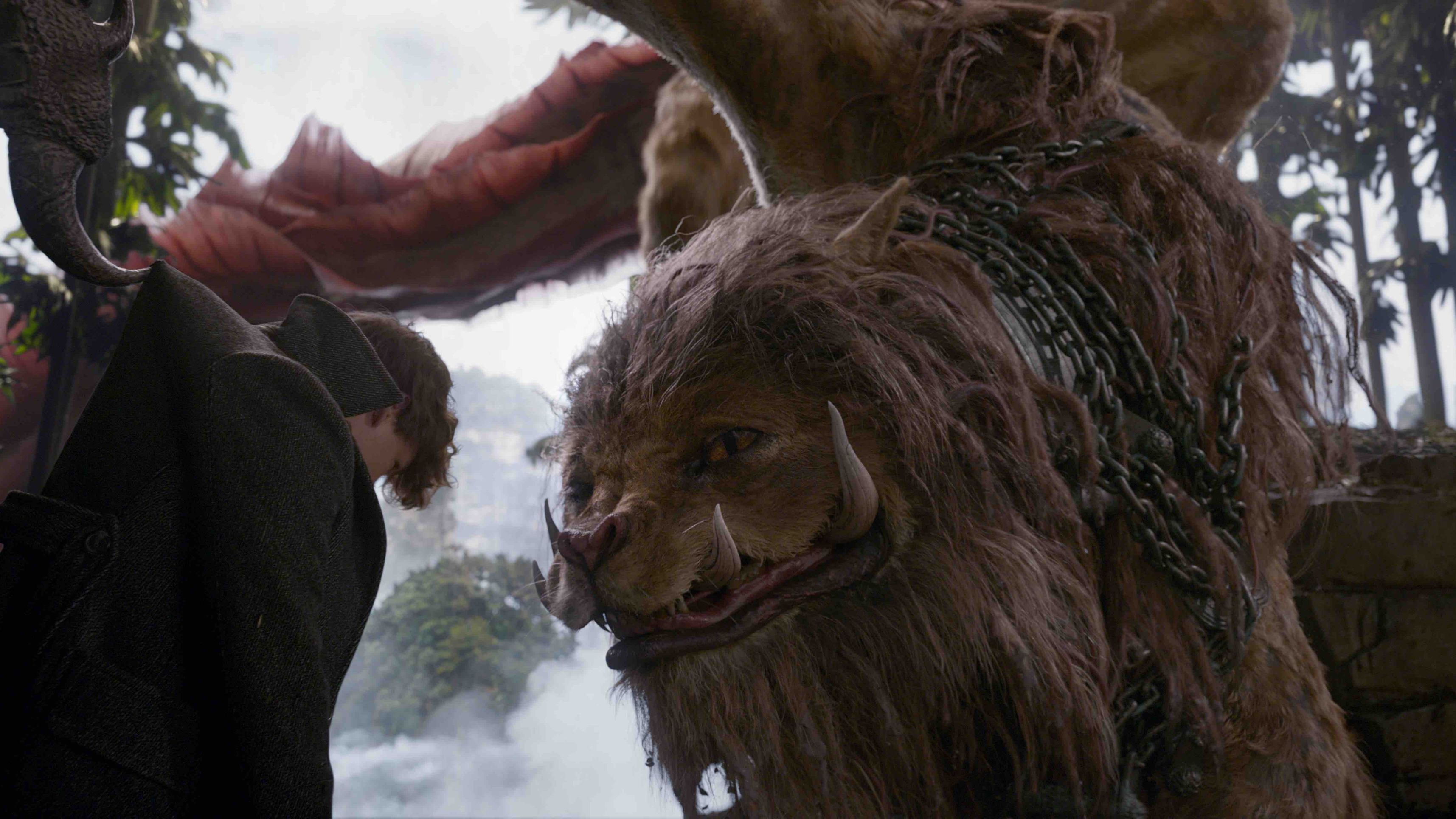 zouwu crimes of grindelwald