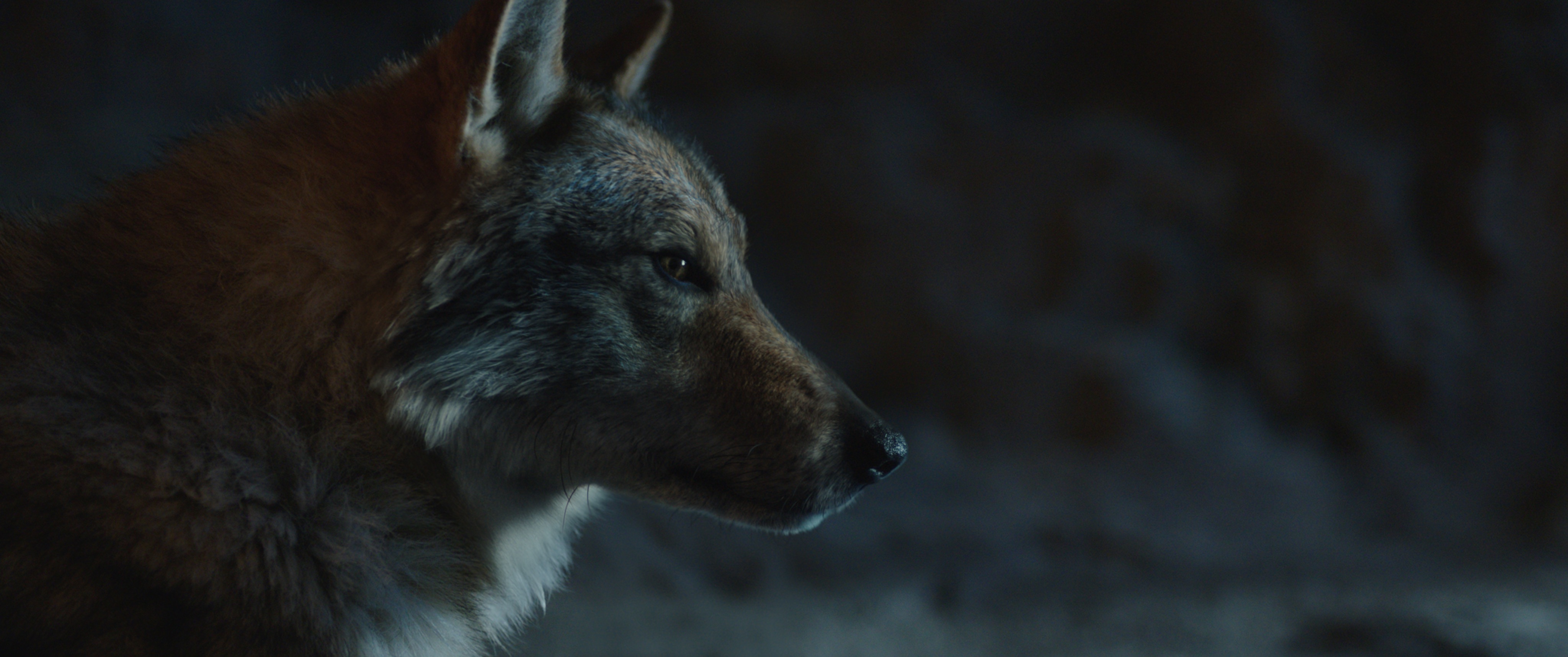 mpc alpha wolf